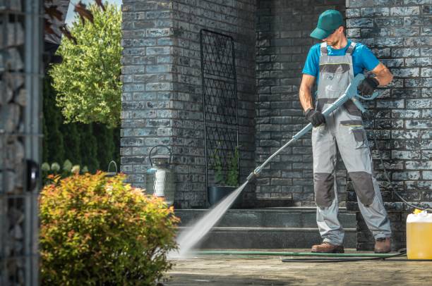 Boat and Dock Cleaning in Lake Waynoka, OH