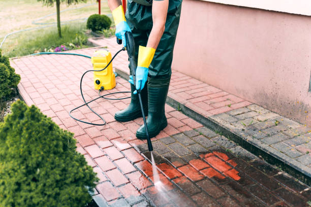 Boat and Dock Cleaning in Lake Waynoka, OH